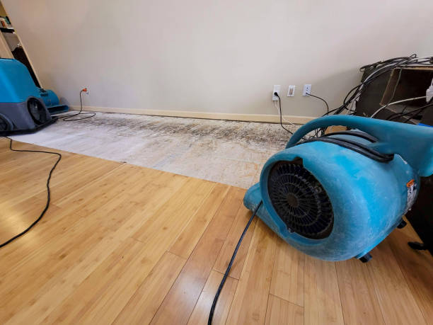 Professional Flood Damage Cleanup technician working in Santee, SC